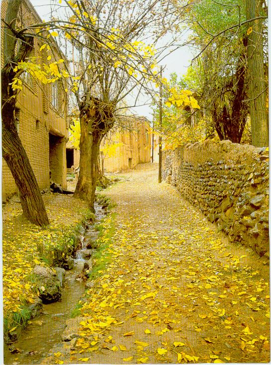 [zahra++++زهرا006.jpg]