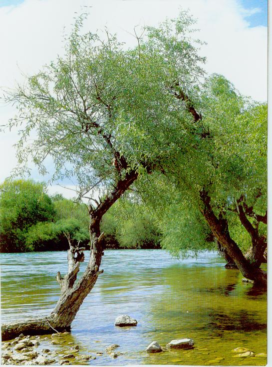 [zahra++++زهرا008.jpg]