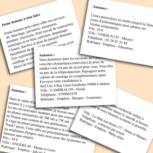 Alliance FrancoPortoricaine Leçon 22 Petites annonces