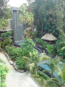 [DSC00492.JPG]