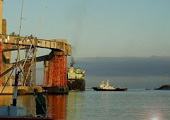 EL PUERTO DESDE EL RIO