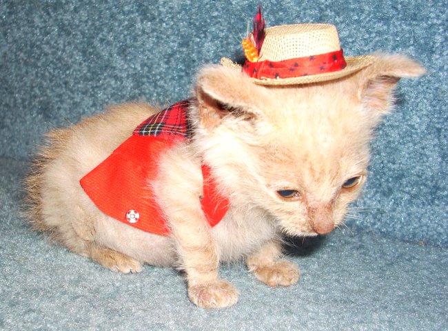 [Sheb+Wooley+003.jpg]