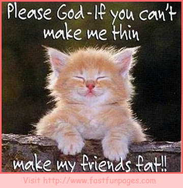 Funny Cat Pictures With Sayings | Funny and Cute Cats Gallery
