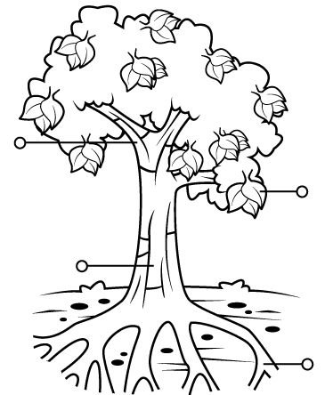 Featured image of post Arbol Para Colorear Con Raices