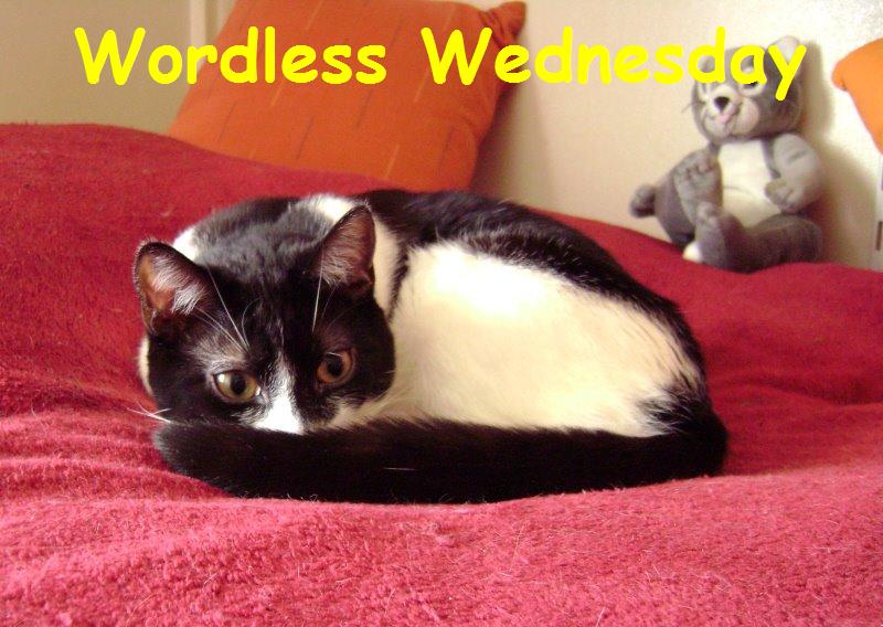 [Wordless+Wednesday+R.JPG]