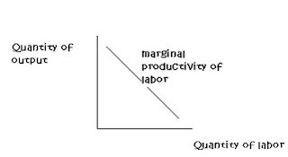 Marginal+Productivity+of+Labour