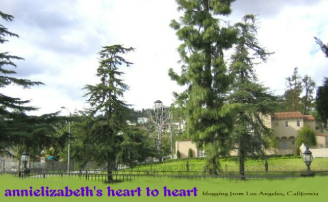 annielizabeth's heart to heart