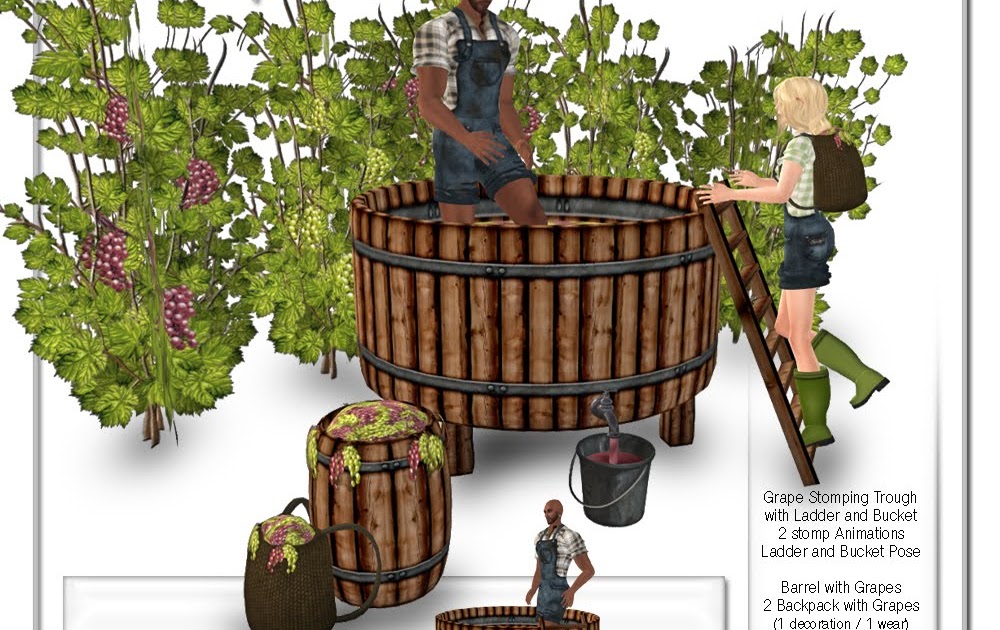 Sway's Grape stomping