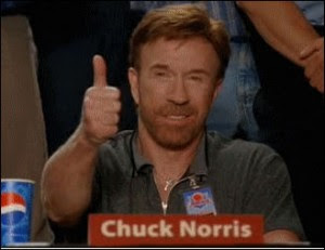 chuck_norris_approved-300x231.jpg