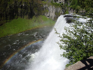 De regenboog