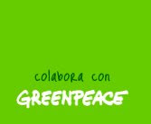 GREENPEACE ESPAÑA