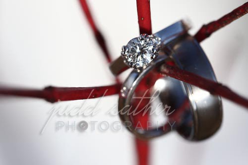 [0055chris+nikki+slideshow.jpg]