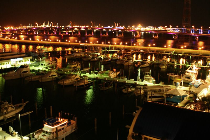 [miami1.jpg]