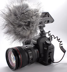 [CanonMarkII-Audio-5.jpg]