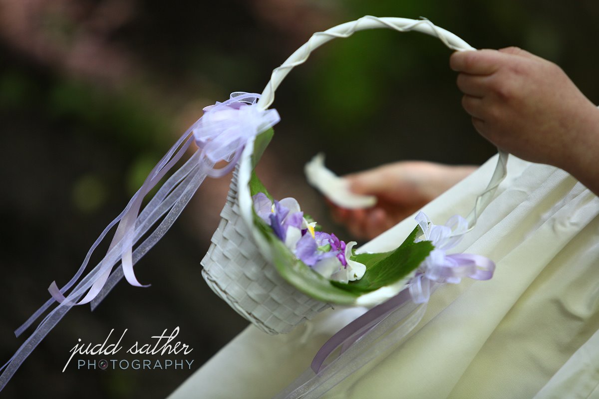 [pedalbasketblog.jpg]