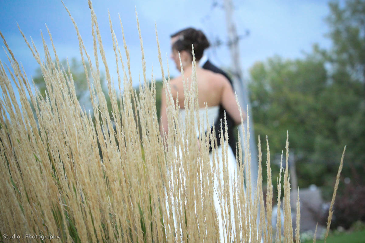 [Joshbrenda0463.jpg]