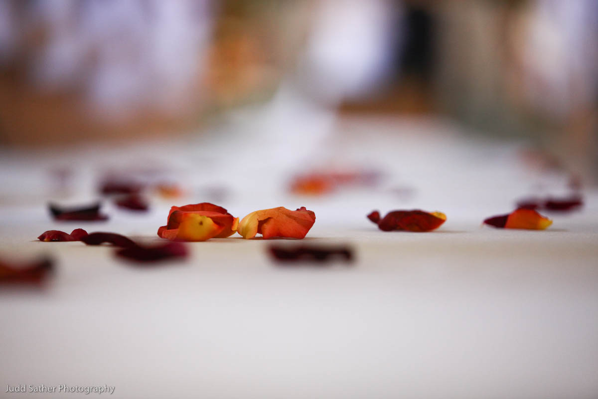 [jefftarrah+(10+of+24).jpg]