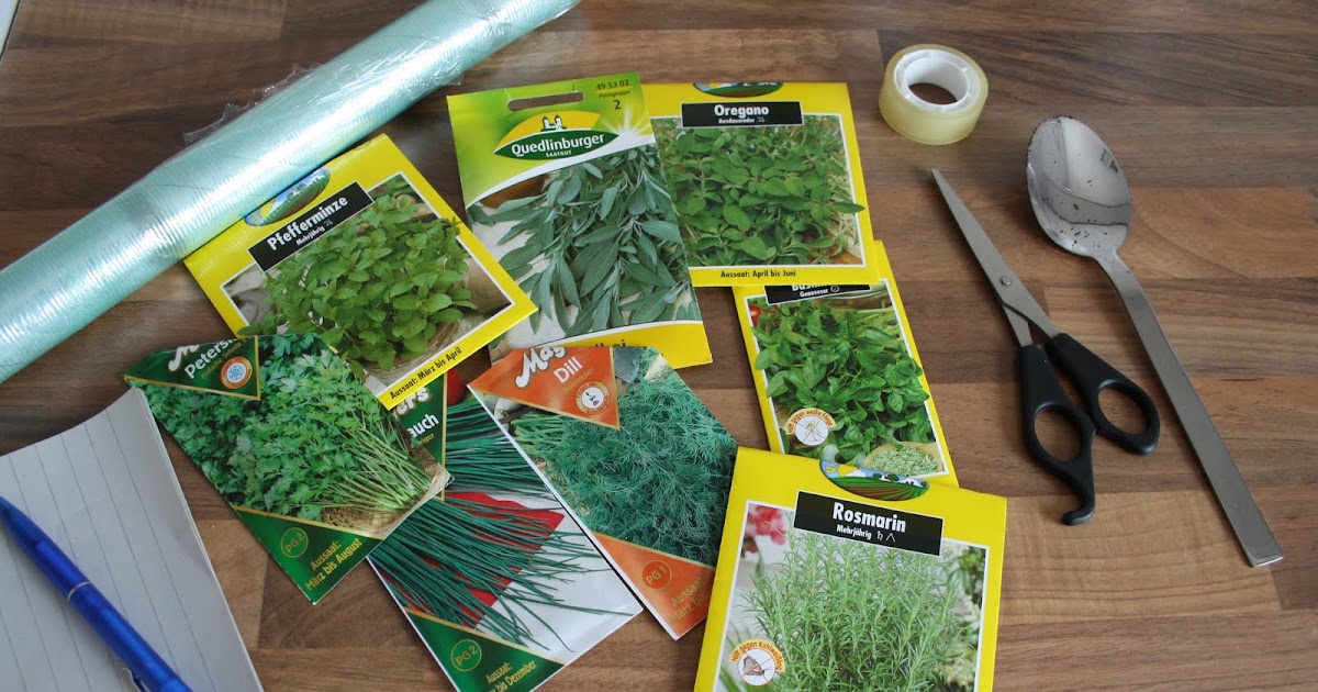 Lente do velho mundo Plantar ervas em casa