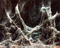 Cobwebs of Doom