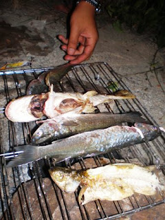Pukat+hanyut
