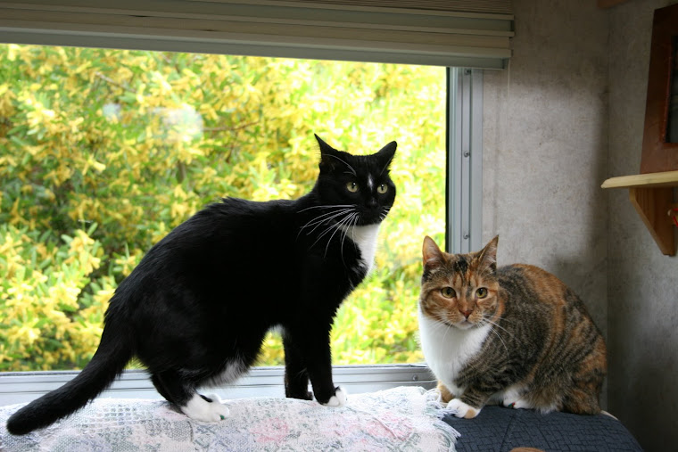 Rudi & Cooper