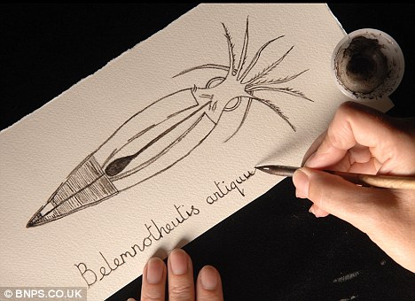 [75_Squid_Ink.jpg]