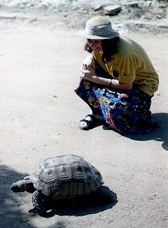 Girl and Turtle