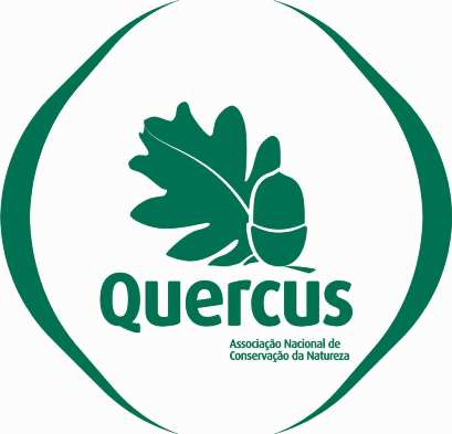 [Quercus.jpg]