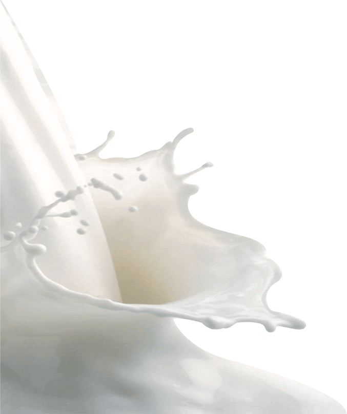 I Hate Whole Milk hater quotes and phrases. I Hate Whole Milk