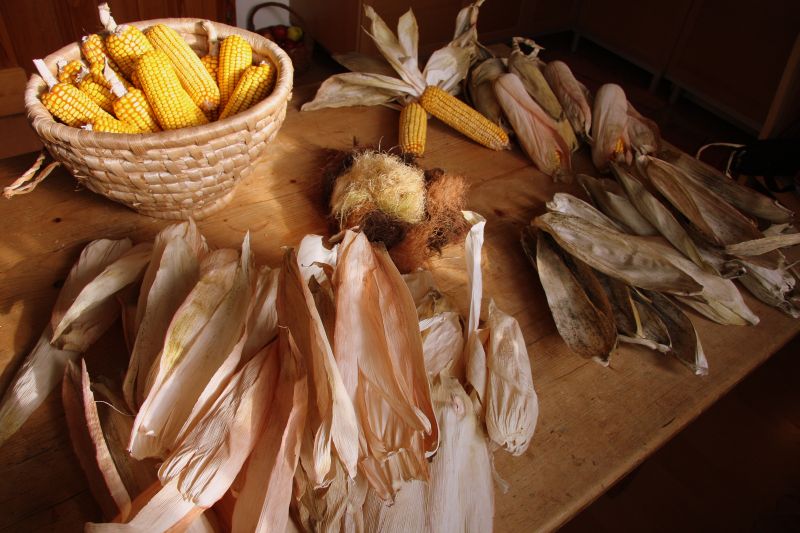 [uuuuuuuuuuuuuuuuuuuuuu.jpg]