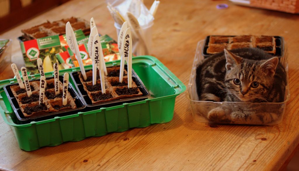 [111111111111111111.jpg]