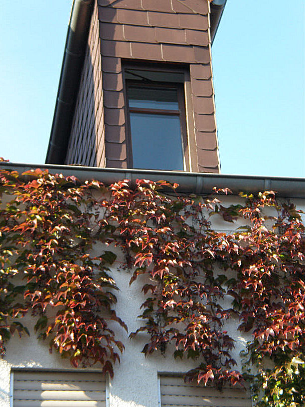 [P9280054.JPG]