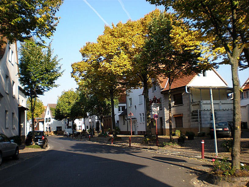 [P9280065.JPG]