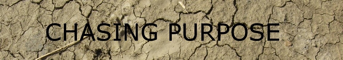 Chasing Purpose