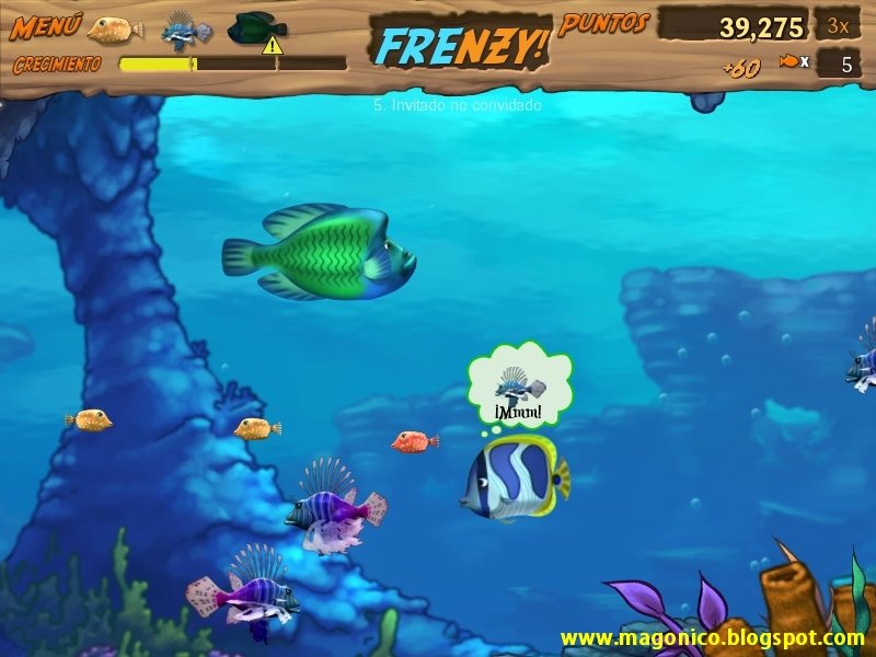 cadena alimenticia google translate feeding frenzy 2 en espa 241 ol el blog de almar cadena alimenticia google translate feeding frenzy 2 en espa 241 ol el blog de almar
