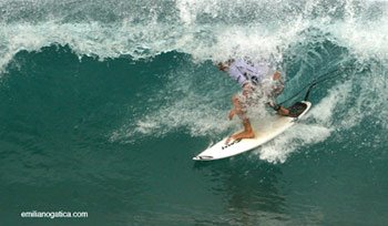 [surf+3.bmp]