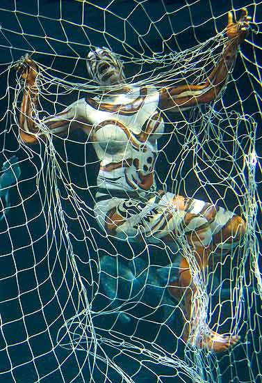 [reclamo+porpesca.jpg]