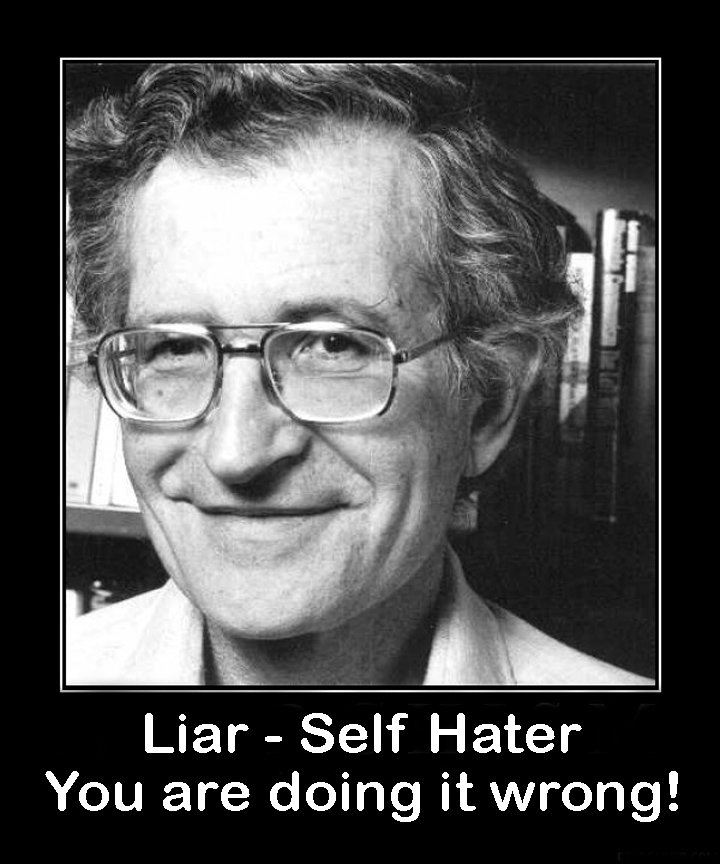 noam chomsky exposed