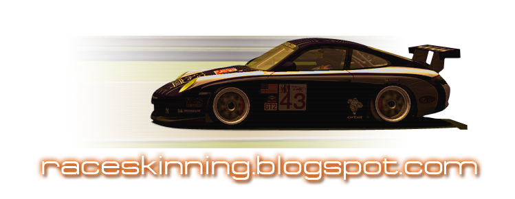 raceskinning-bloggs