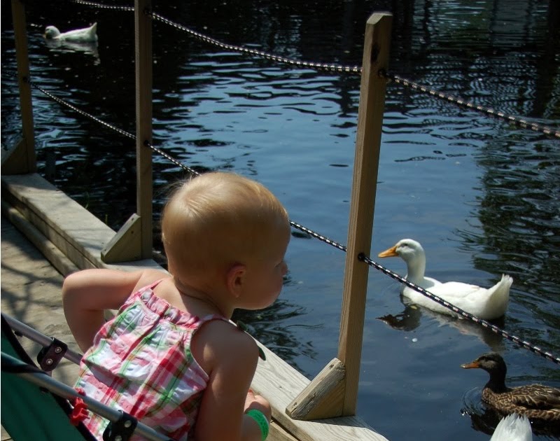 The Rogers Five: York's Wild Animal Kingdom