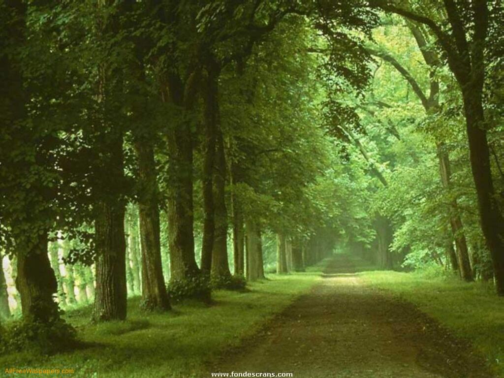 Images Of Nature