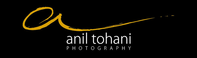 Anil Tohani Photography