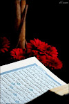 Download Holy Quran