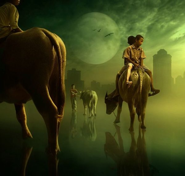 [oil-paintings-photos.jpg]