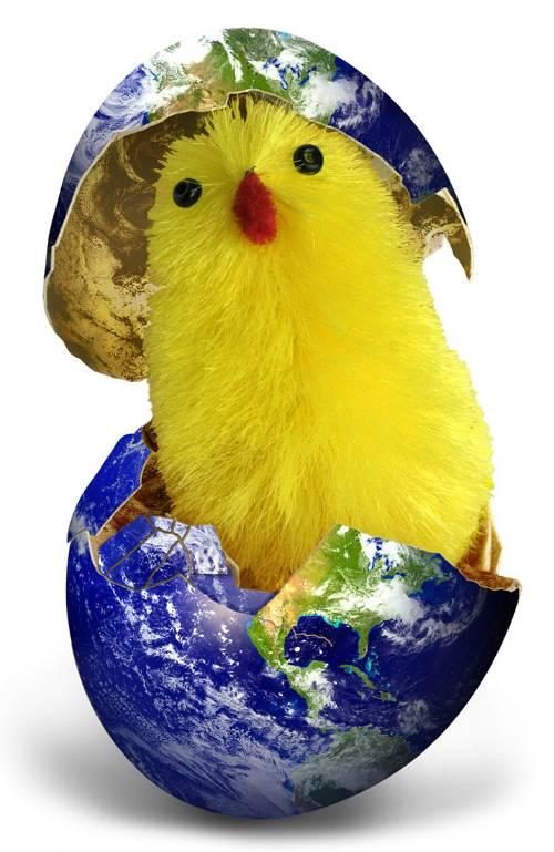 [cute-chicken-in-globe-photos.jpg]