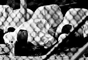 [090118-k-gitmo.jpg]