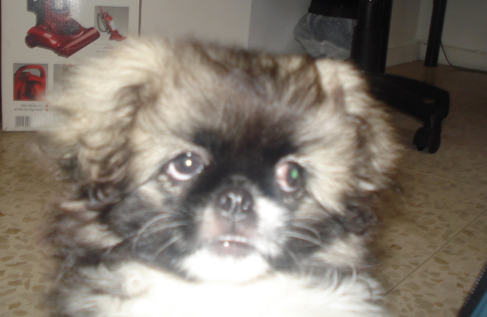 [DSC01530.JPG]