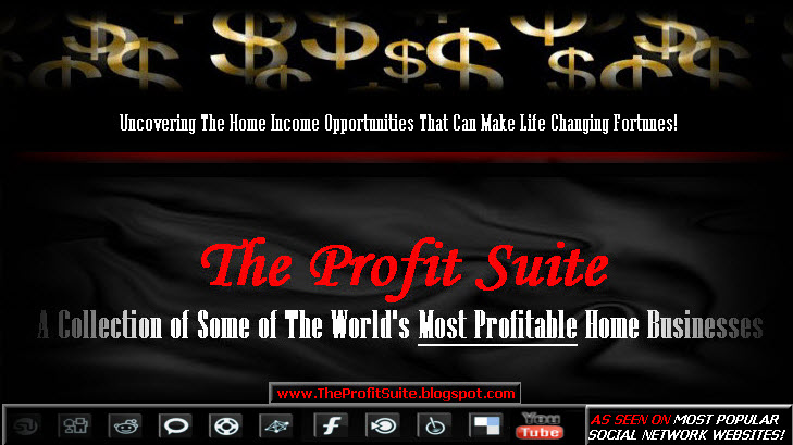 THE PROFIT SUITE: A COLLECTION OF SOME OF THE MOST PROFITABLE HOME BUSINESSES OF 2011