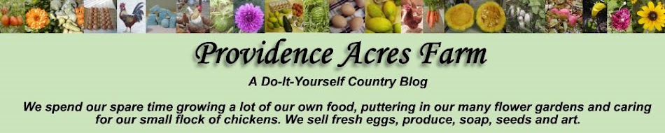 Providence Acres Farm