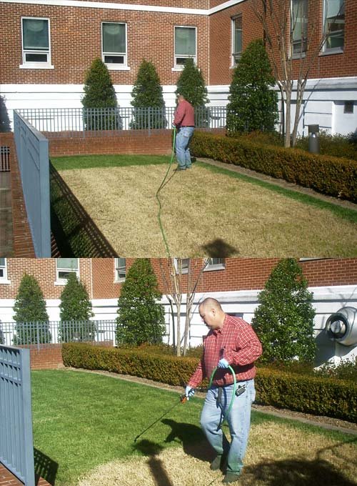 [grass.bmp]